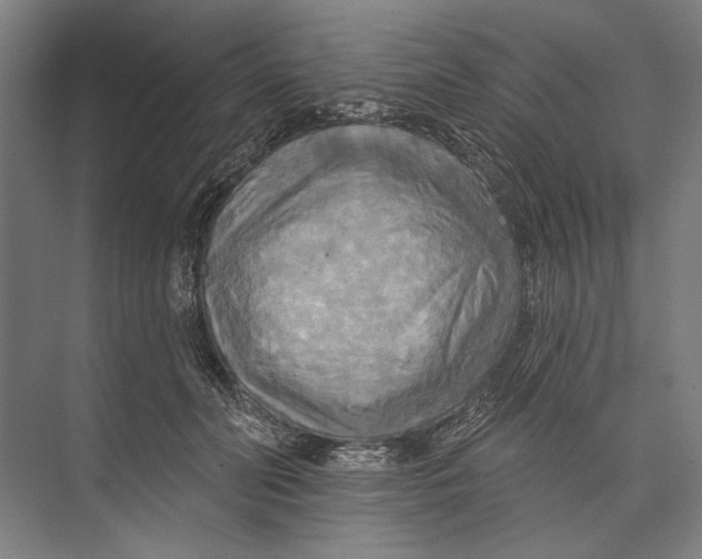 X0000071910606200608041411