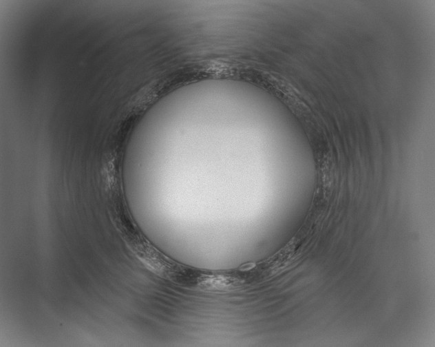 X0000071910611200608041410