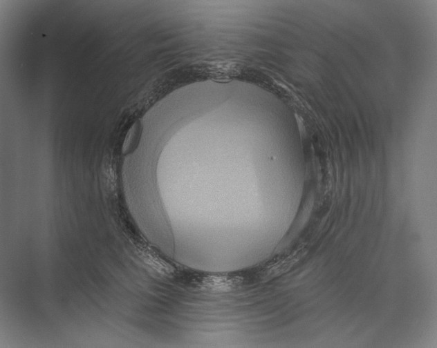 X0000071910613200608041410