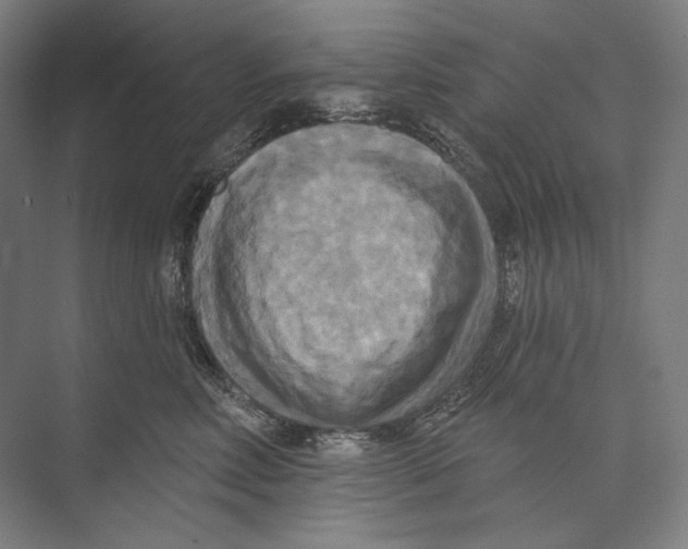X0000071910618200608041410