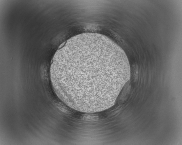 X0000071910619200608041410