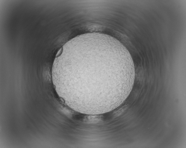 X0000071910622200608041410