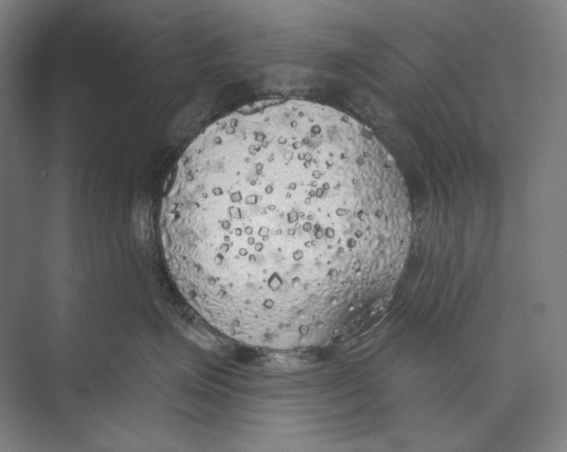 X0000071910623200608041410