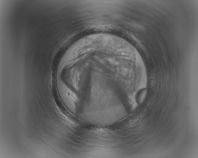 X0000071910637200608041410