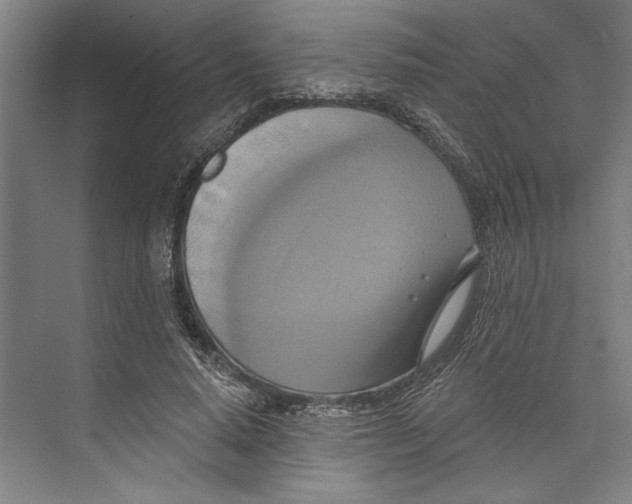 X0000071910640200608041410