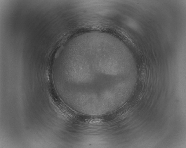 X0000071910643200608041410