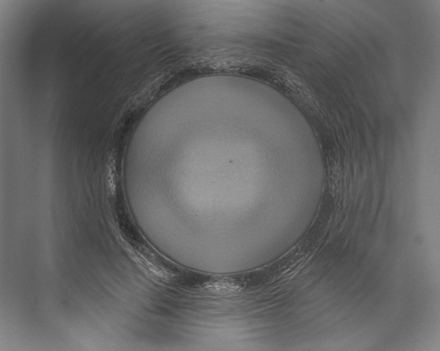 X0000071910644200608041410