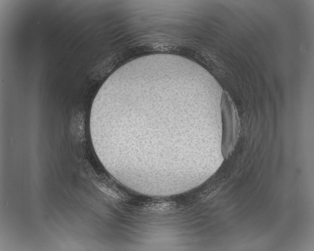 X0000071910646200608041410