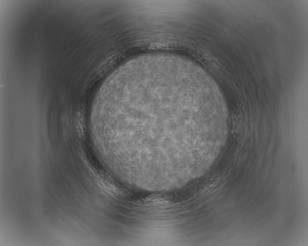 X0000071910648200608041410