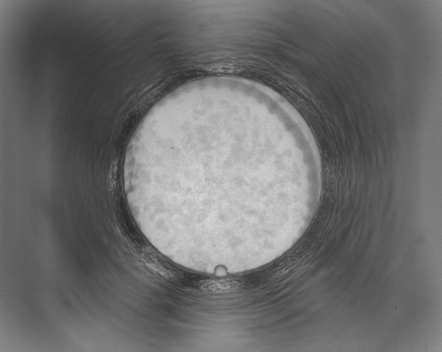 X0000071910652200608041410