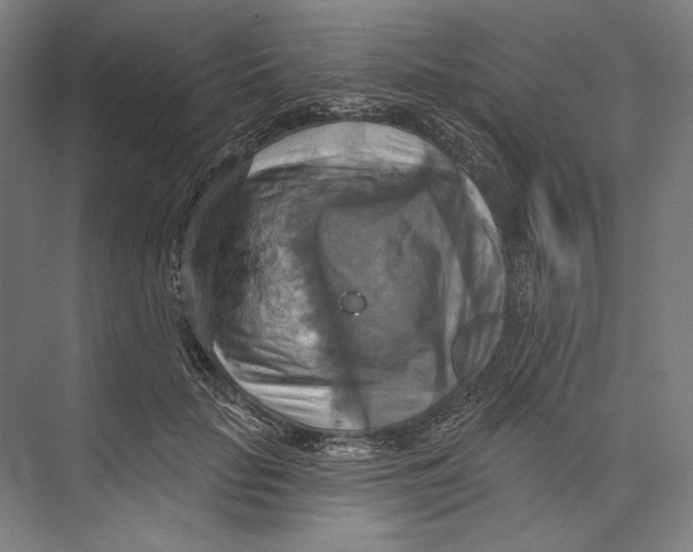 X0000071910653200608041410