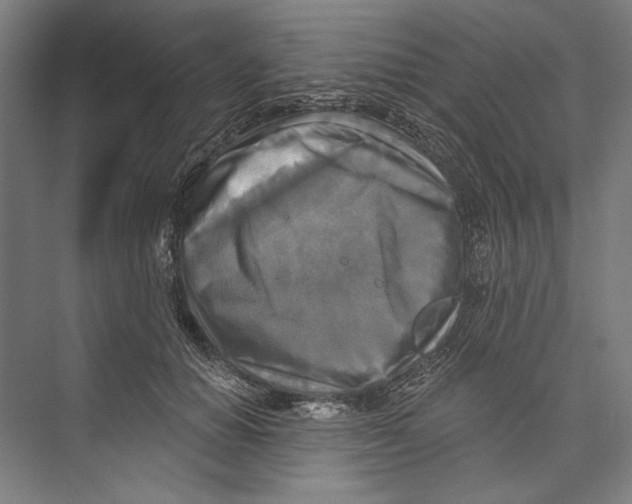 X0000071910654200608041410