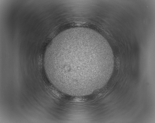 X0000071910657200608041410