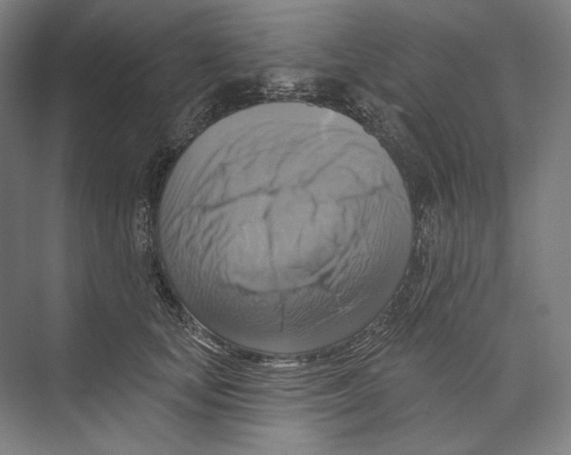 X0000071910659200608041410
