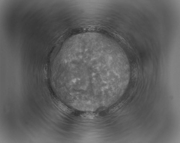 X0000071910661200608041410