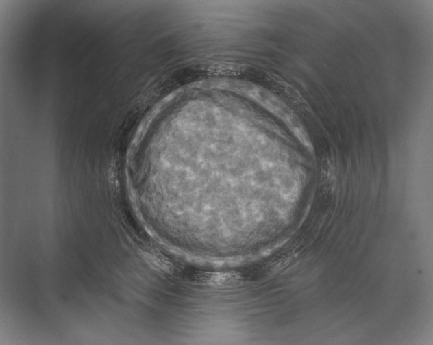 X0000071910663200608041410