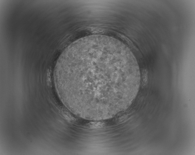 X0000071910667200608041410