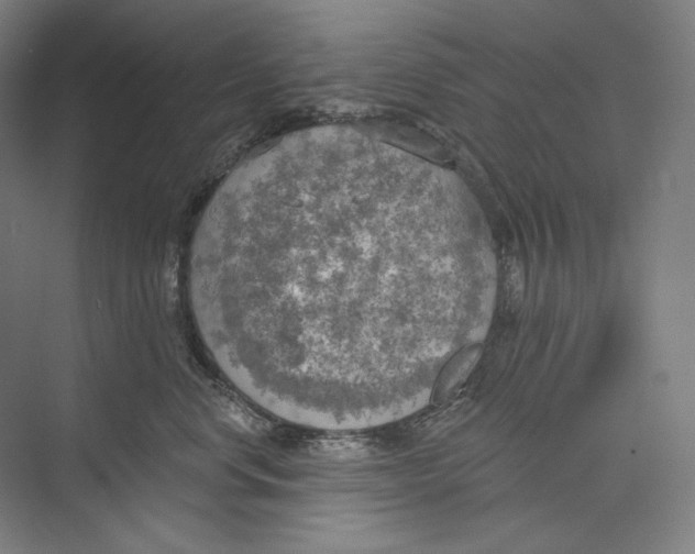 X0000071910668200608041410