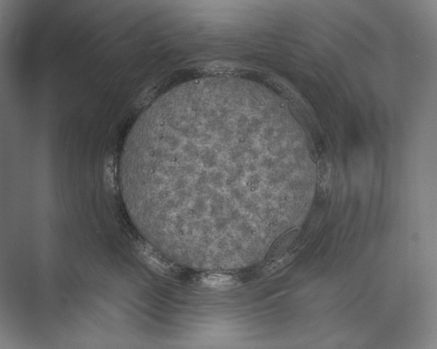 X0000071910669200608041410