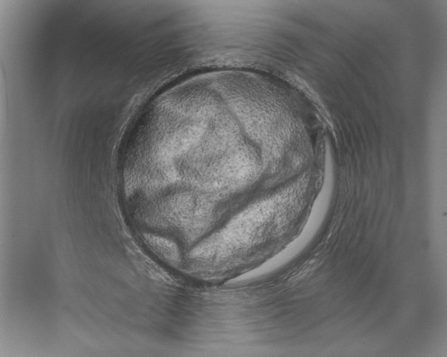 X0000071910673200608041409