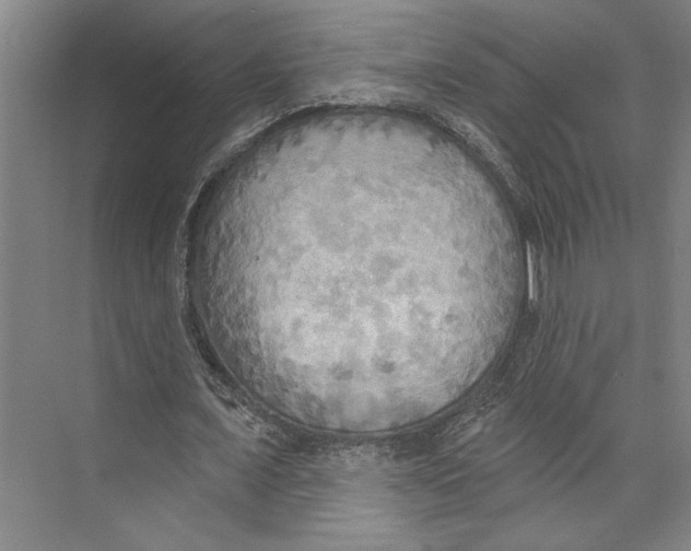 X0000071910675200608041409
