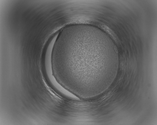 X0000071910677200608041409