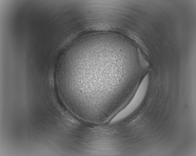 X0000071910681200608041409