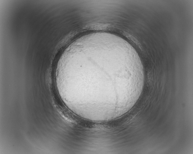 X0000071910682200608041409