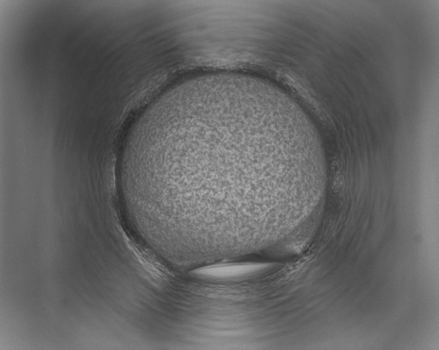 X0000071910685200608041409