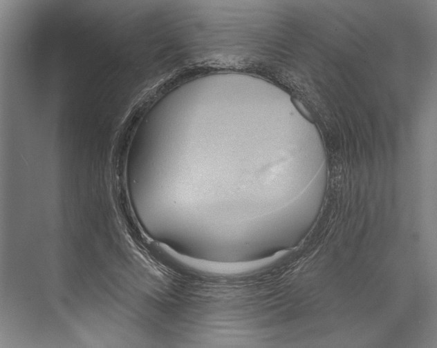 X0000071910688200608041409