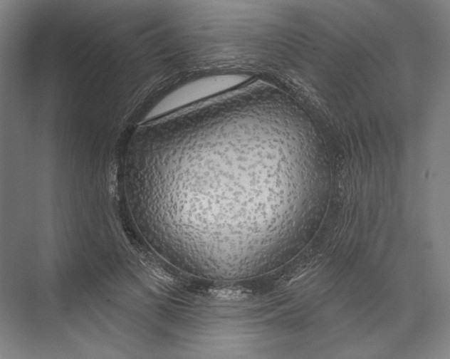 X0000071910693200608041409