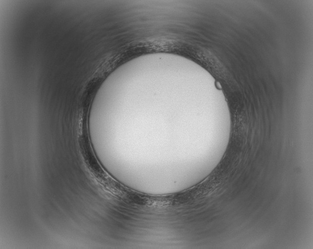X0000071910694200608041409