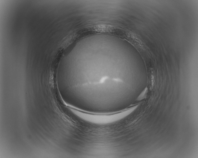 X0000071910696200608041409
