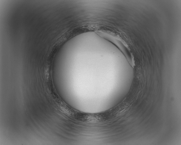 X0000071910697200608041409