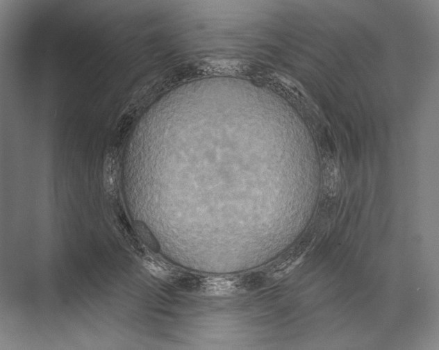 X0000071910701200608041409