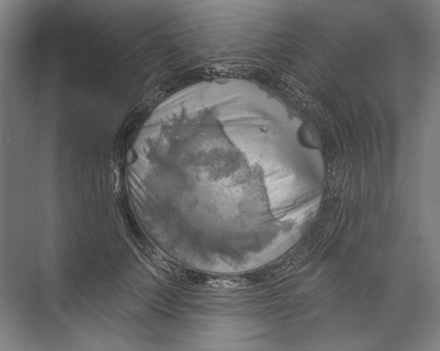 X0000071910703200608041409