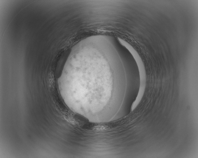 X0000071910704200608041409