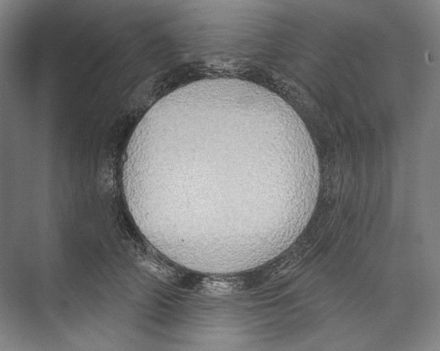X0000071910706200608041409