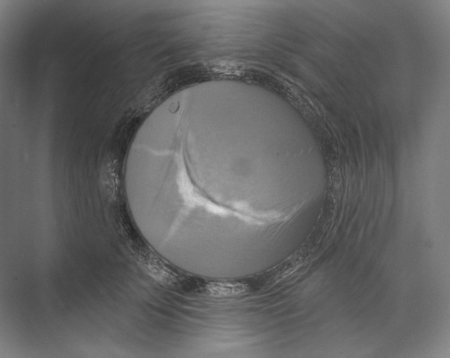 X0000071910707200608041409