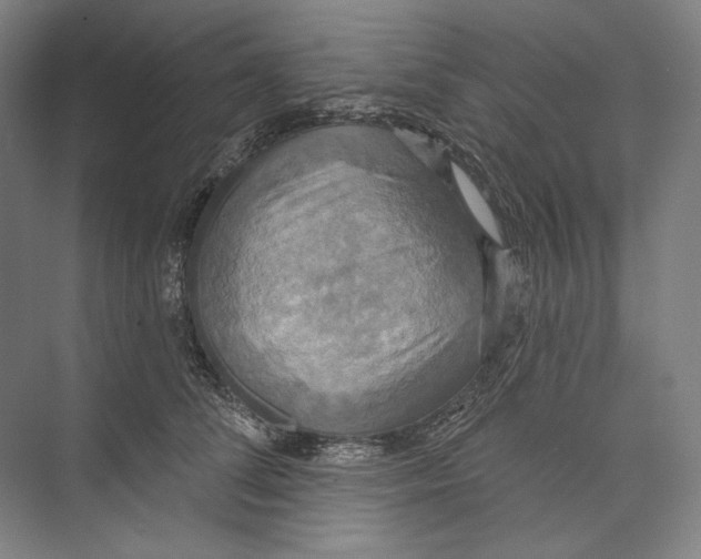 X0000071910708200608041409