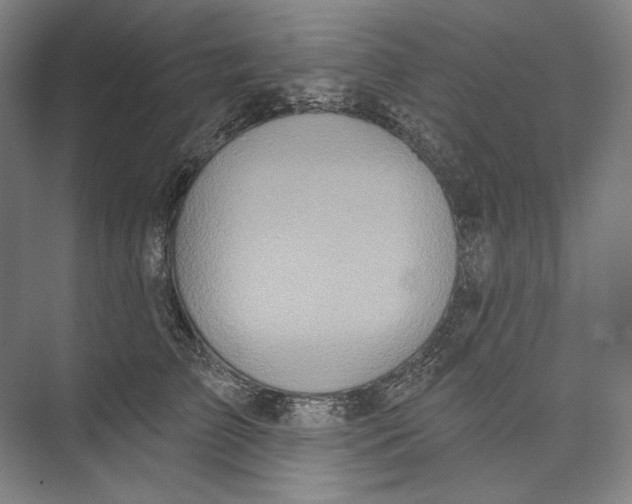 X0000071910709200608041409