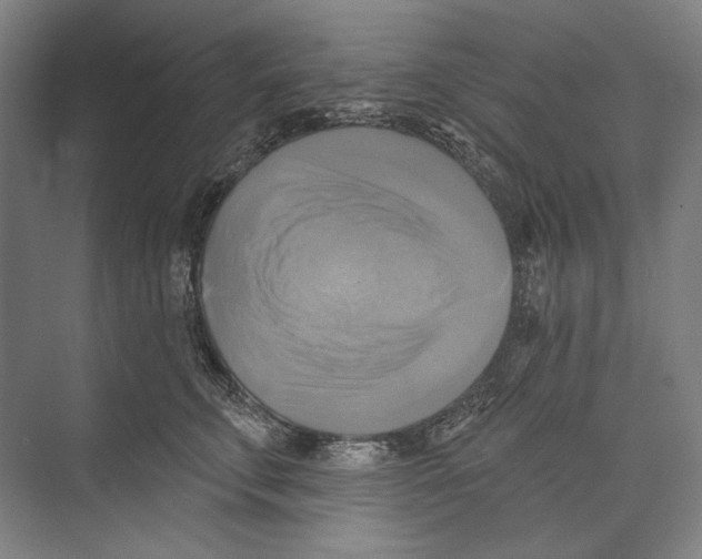 X0000071910711200608041409