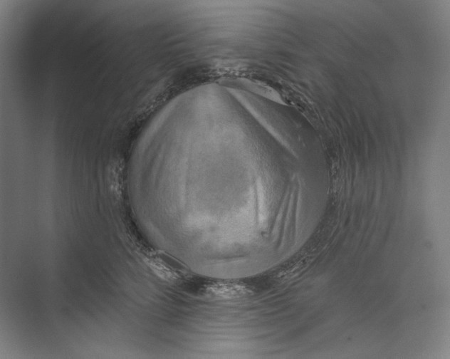 X0000071910712200608041409