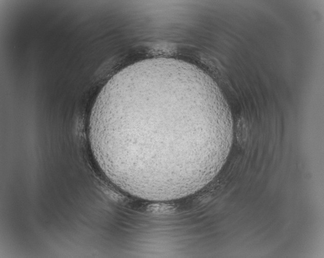 X0000071910714200608041409
