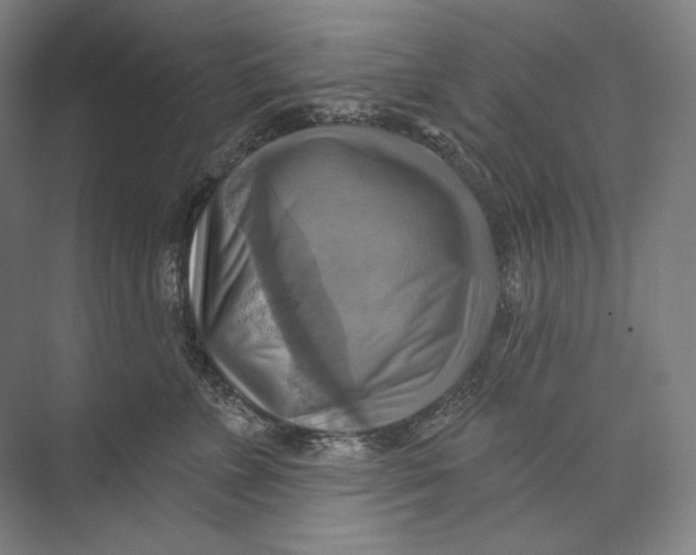 X0000071910715200608041409