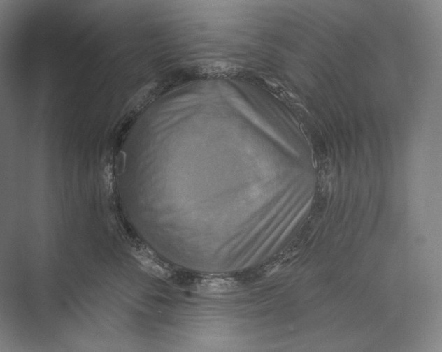 X0000071910716200608041409