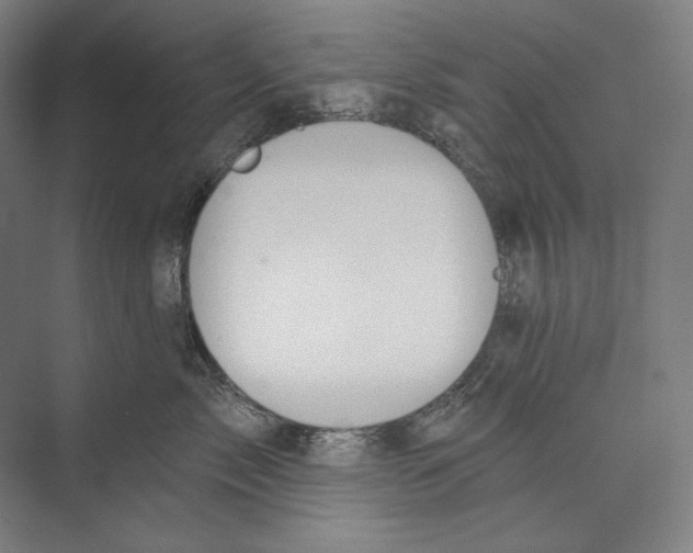 X0000071910717200608041409