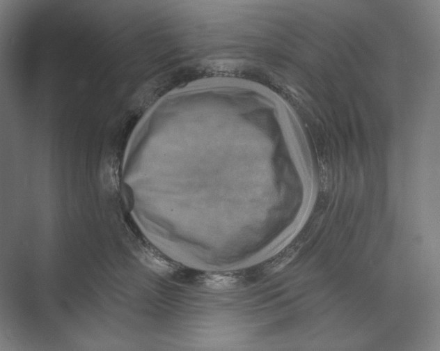 X0000071910718200608041409