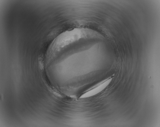 X0000071910719200608041409