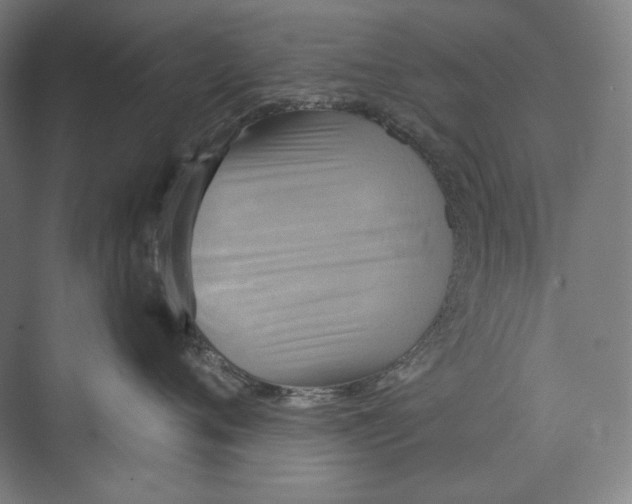 X0000071910720200608041409